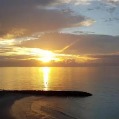 Tara I Maspalomas (Gran Canaria)